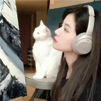 蒙古王